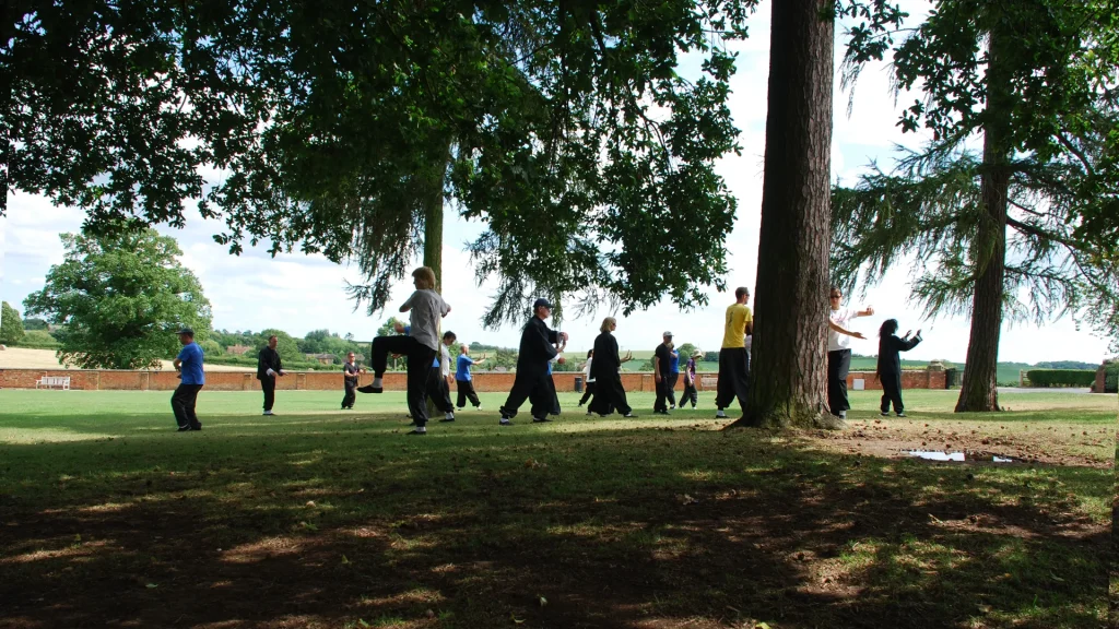 Tai Chi diversity